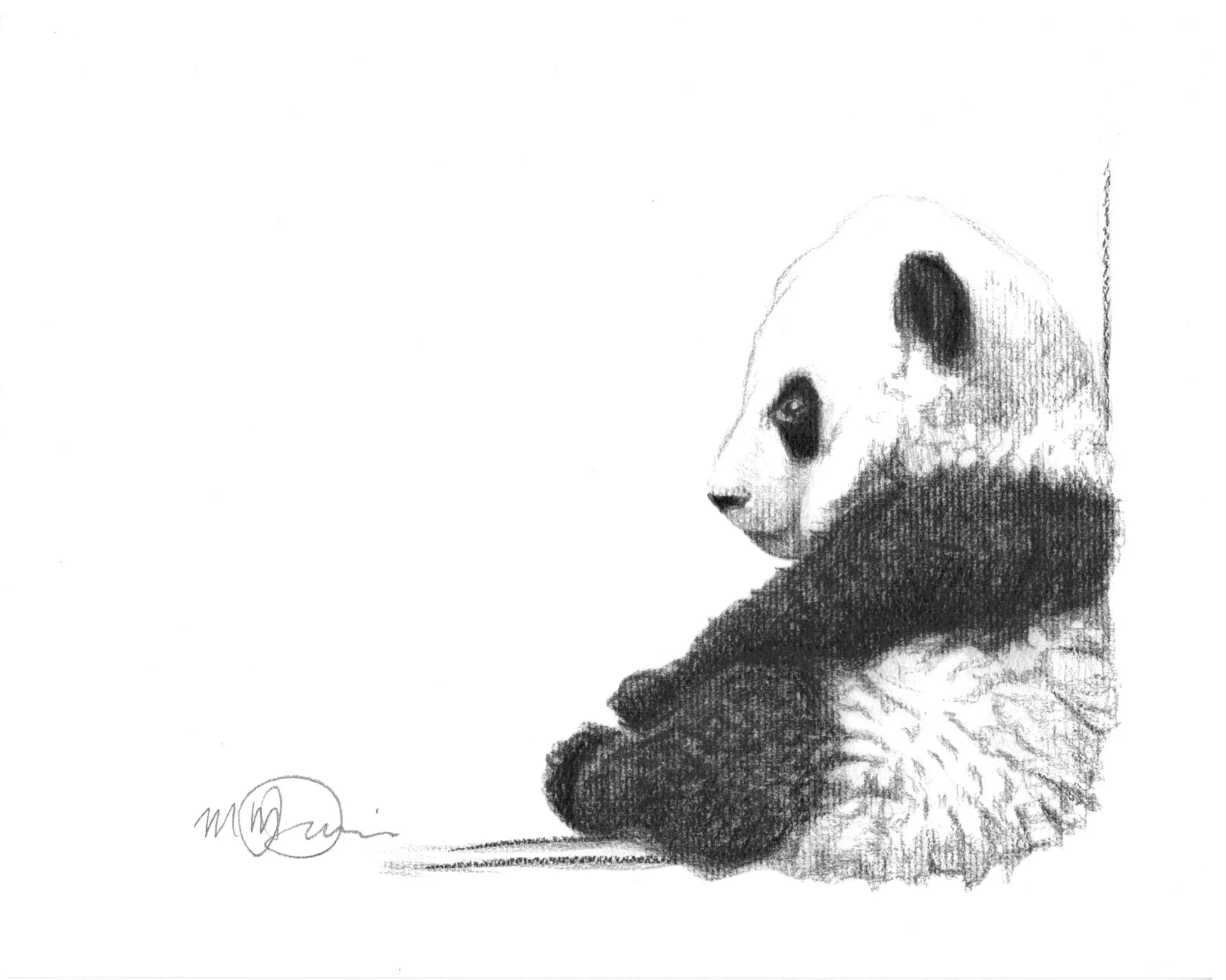 Cute Sitting Panda