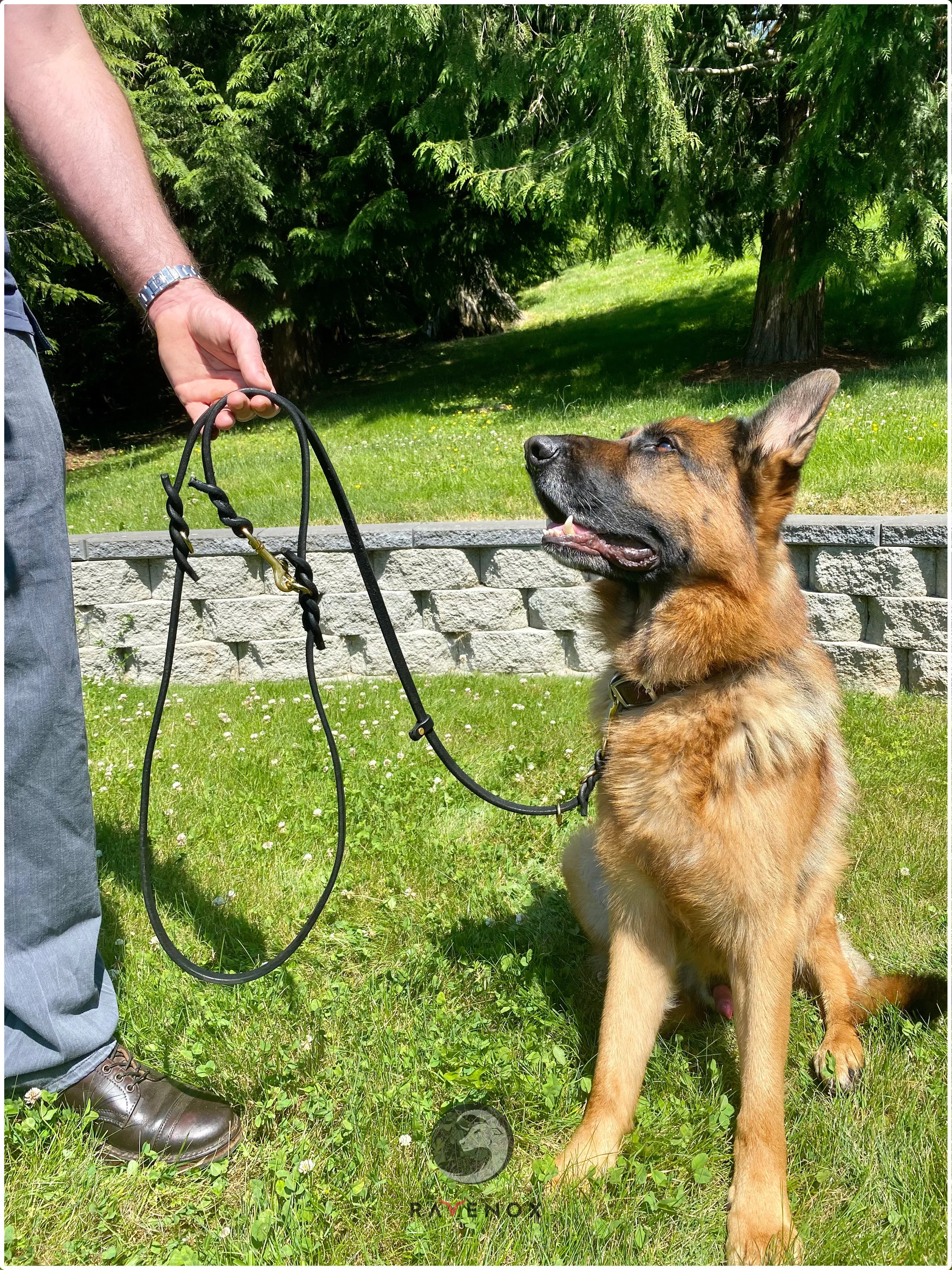 Multifunctional Leather Dog Leash