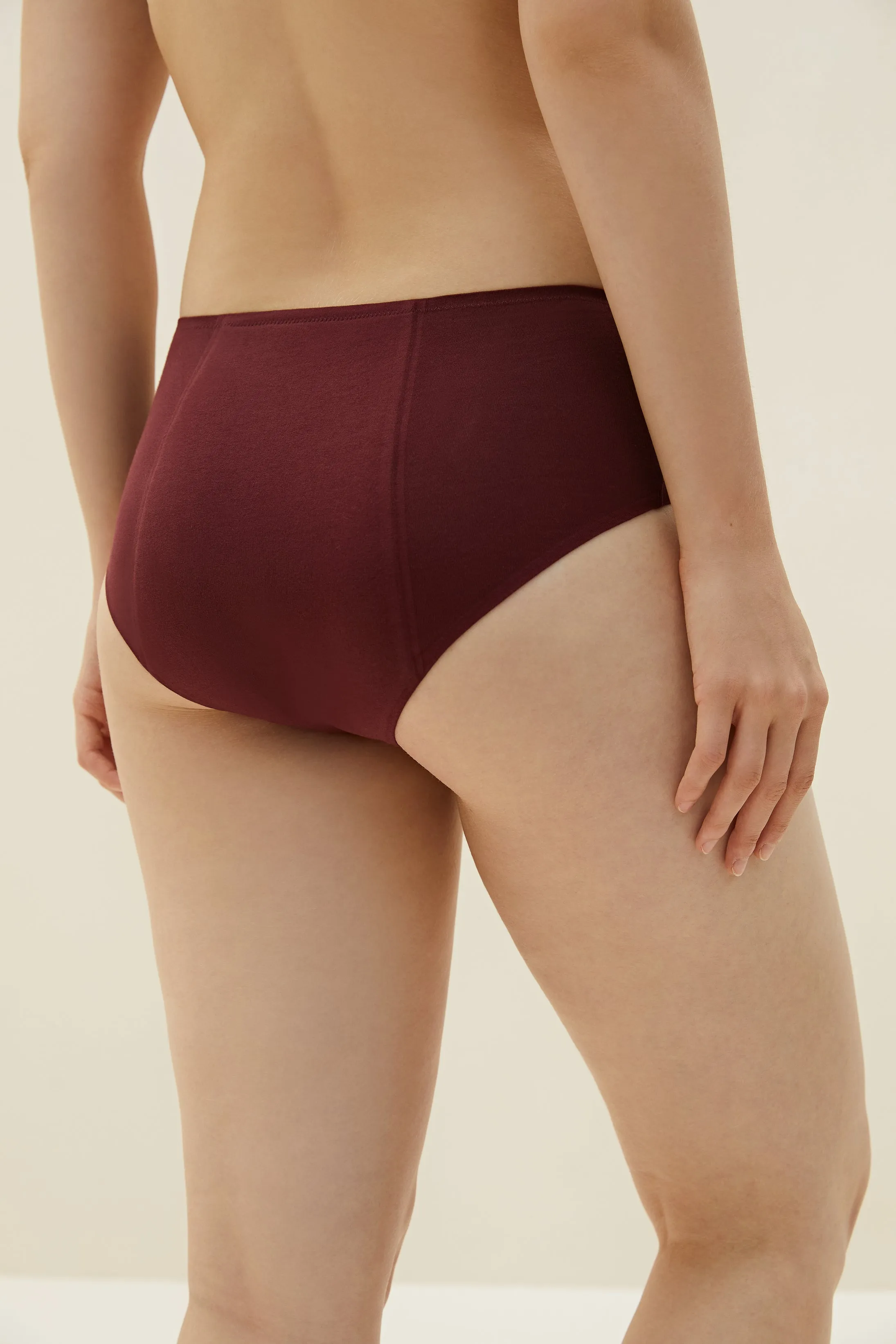 Pantie Pro High Waist Period Brief